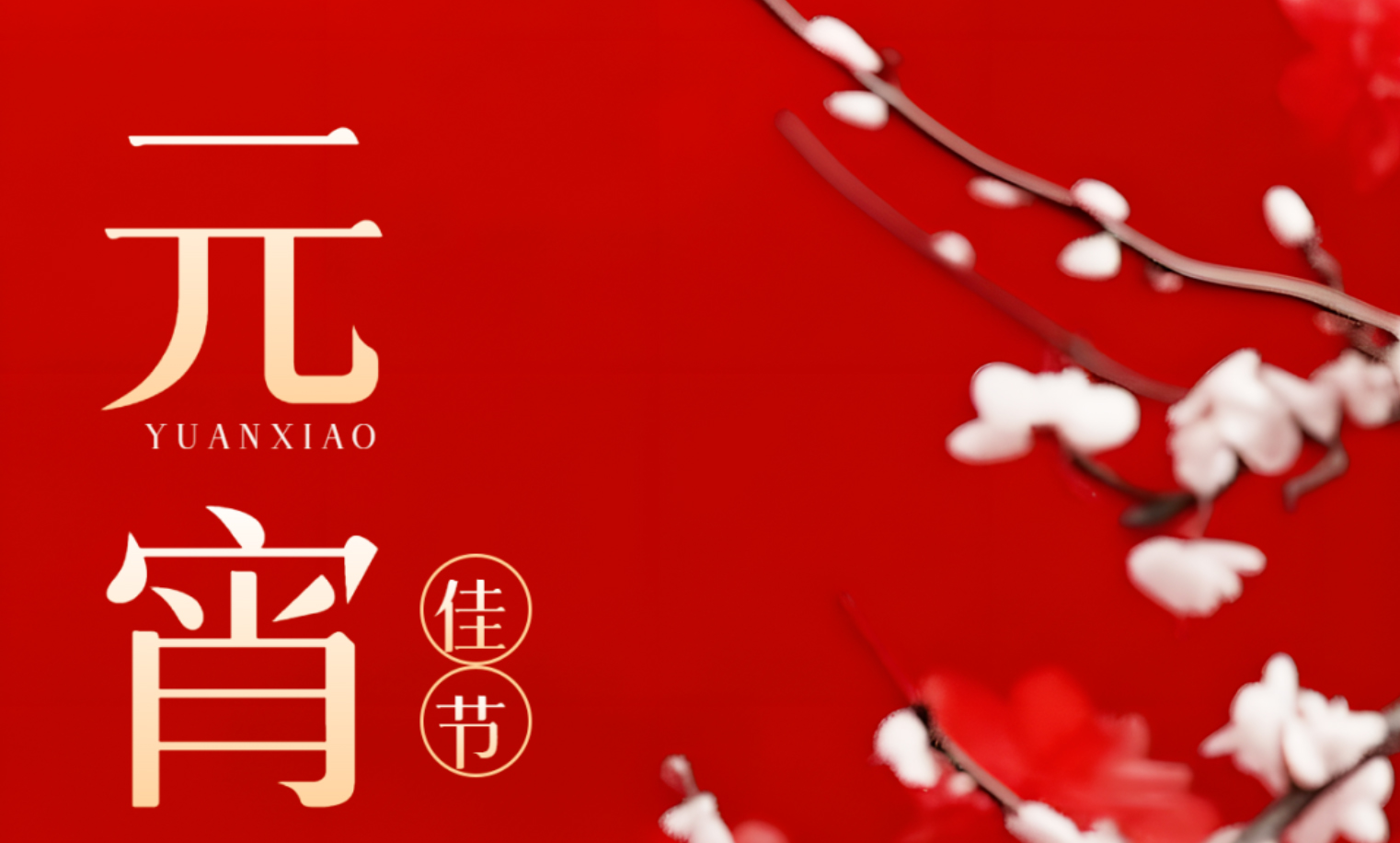 喜乐元宵 | 深圳市知源高级中学恭祝大家元宵节快乐！